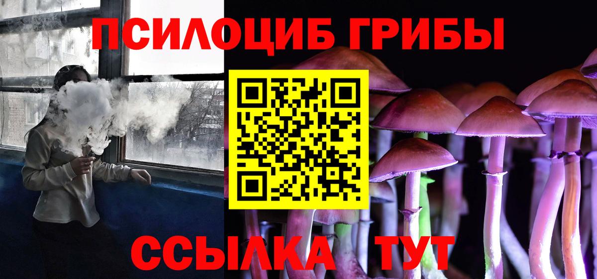 Псилоцибиновые грибы Psilocybine cubensis Хабаровск