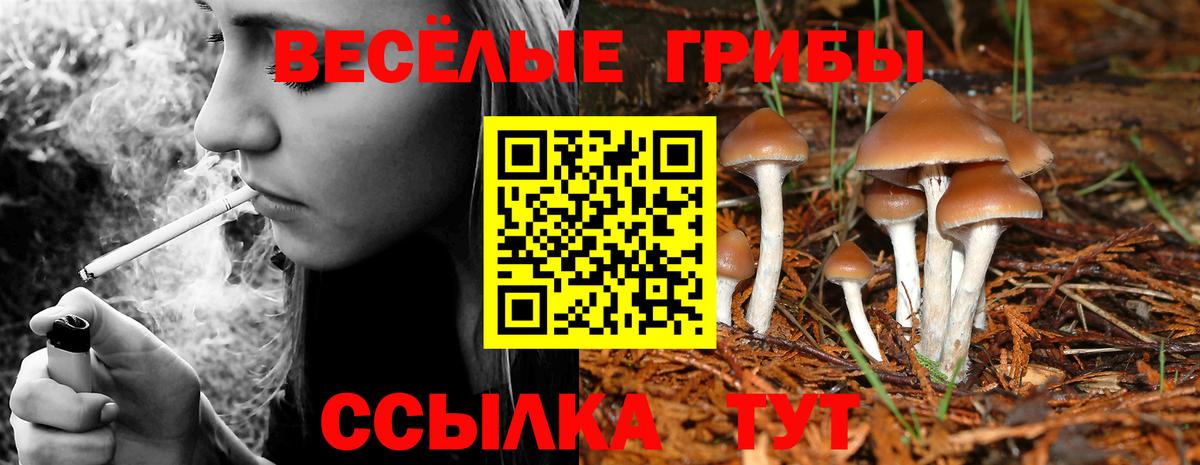 Хабаровск  Псилоцибиновые грибы MAGIC MUSHROOMS  Вход с VPN 
